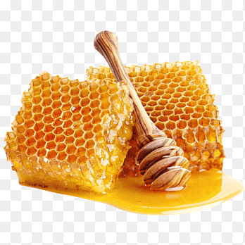 Honey